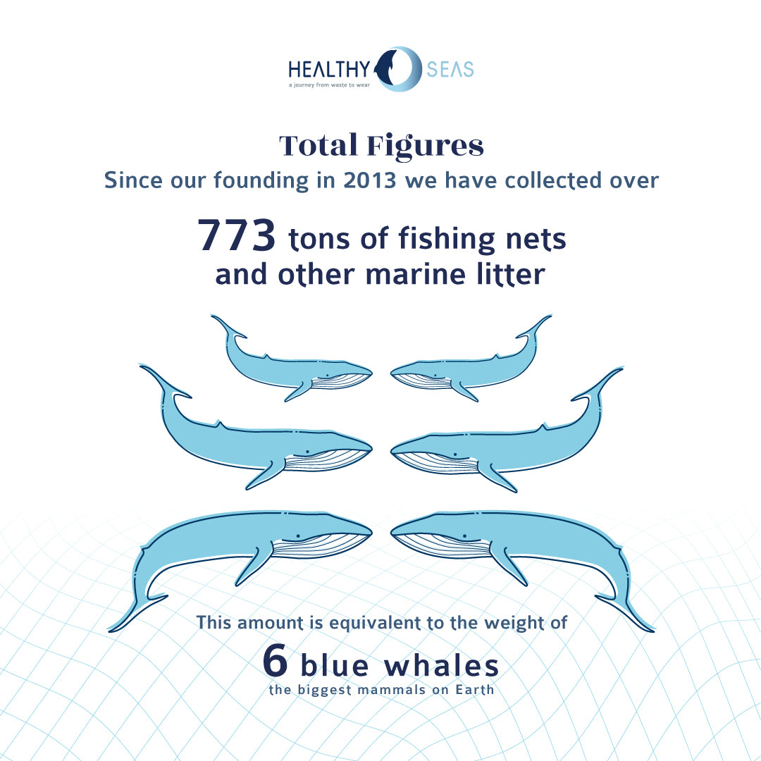 Infographik von Healthy Seas: Seit 2013 haben sie 773 Tonnen an Meeresabfällen aufgesammelt. Das Gewicht ist das gleiche wie das von 6 Blauwahlen.